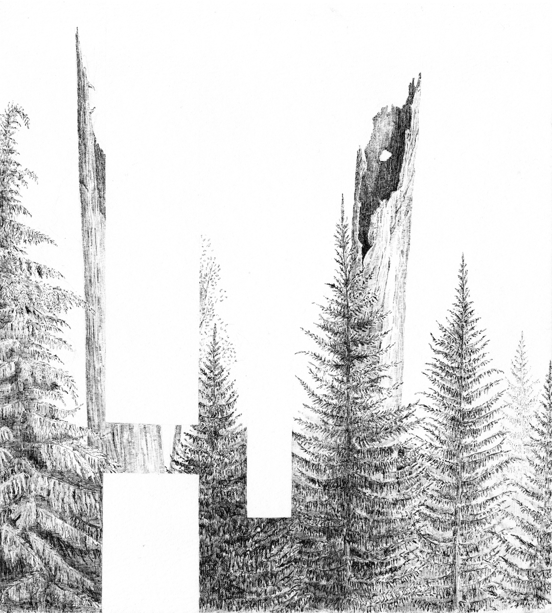 web_disruption-6