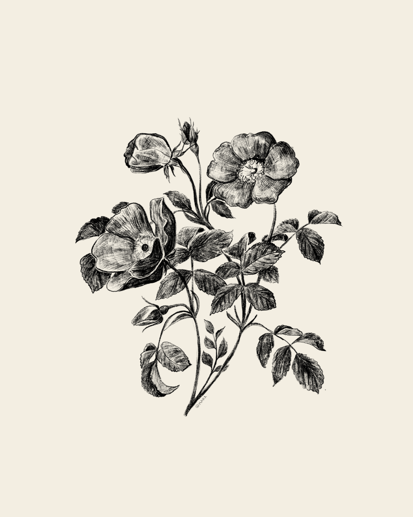 1022 flower 2