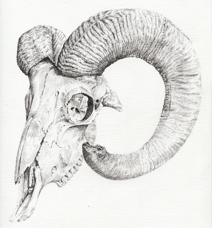 kara-wightman-skull-3